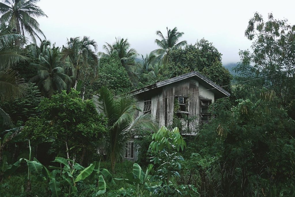 maison_en_bois